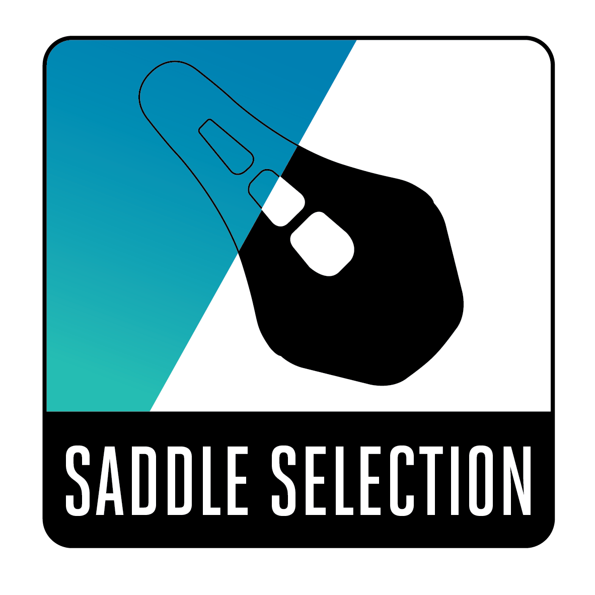 Saddle Selection